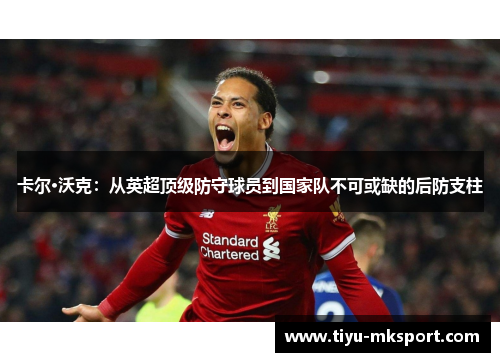 卡尔·沃克：从英超顶级防守球员到国家队不可或缺的后防支柱