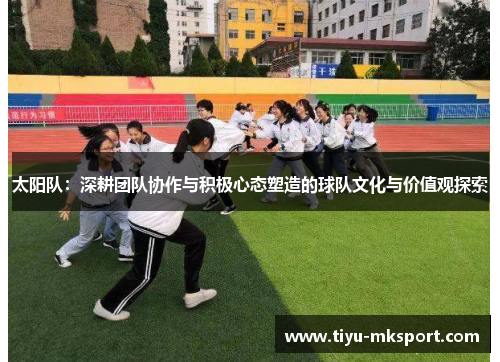太阳队：深耕团队协作与积极心态塑造的球队文化与价值观探索