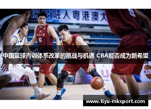 中国篮球青训体系改革的挑战与机遇 CBA能否成为新希望