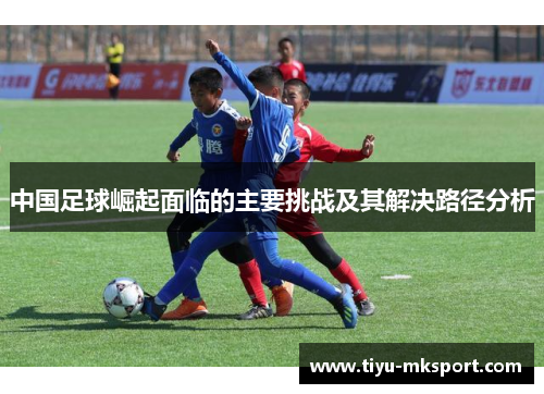中国足球崛起面临的主要挑战及其解决路径分析