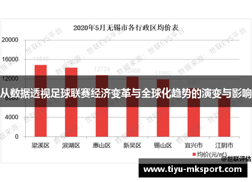 从数据透视足球联赛经济变革与全球化趋势的演变与影响