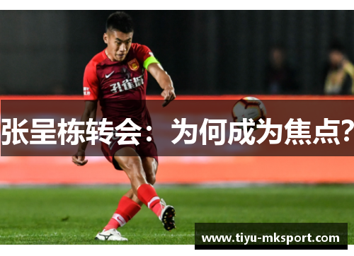 张呈栋转会：为何成为焦点？