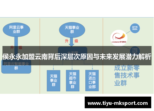 侯永永加盟云南背后深层次原因与未来发展潜力解析