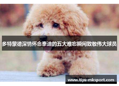 多特蒙德深情怀念泰迪的五大难忘瞬间致敬伟大球员