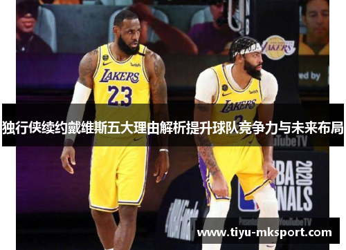 独行侠续约戴维斯五大理由解析提升球队竞争力与未来布局