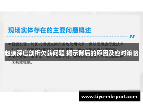 赵鹏深度剖析欠薪问题 揭示背后的原因及应对策略