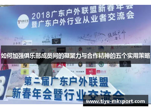 如何加强俱乐部成员间的凝聚力与合作精神的五个实用策略
