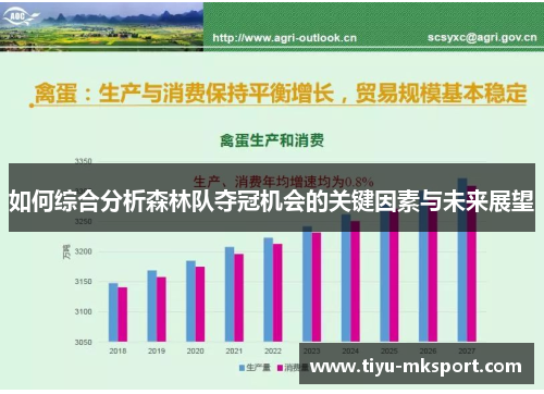 如何综合分析森林队夺冠机会的关键因素与未来展望