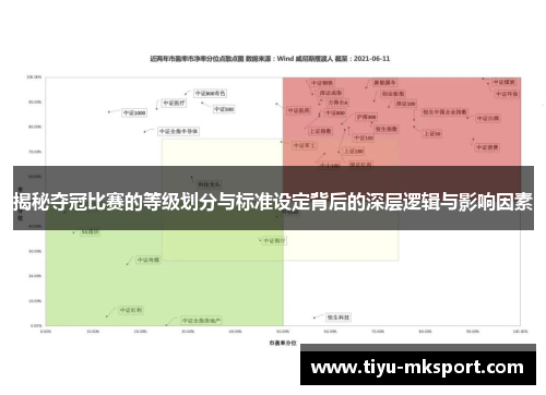 揭秘夺冠比赛的等级划分与标准设定背后的深层逻辑与影响因素