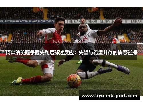 阿森纳英超争冠失利后球迷反应：失望与希望并存的情感碰撞